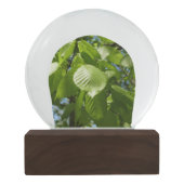 Boule À Neige Arbre vert Feuille à bouleau printanier (Dos)