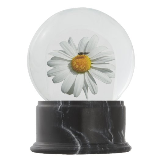 Boule À Neige Bee on Daisy Alaskan Summer Nature (Devant)