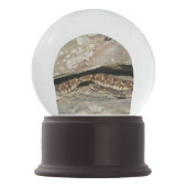 Boule À Neige Crotale dans le parc national de Shenandoah (Dos)