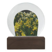 Boule À Neige Daffodiles jaunes et blancs Fleurs de printemps (Dos)