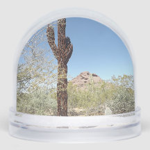 Boule à neige du désert de Sonora