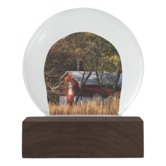 Boule À Neige Étoile d'automne dans le Maryland central (Devant)