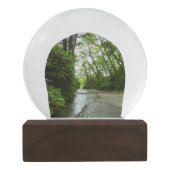 Boule À Neige Fern Canyon II au parc national Redwood (Dos)