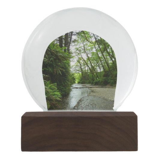 Boule À Neige Fern Canyon II au parc national Redwood (Devant)