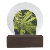 Boule À Neige Ferne arborescente dans la forêt tropicale (Dos)