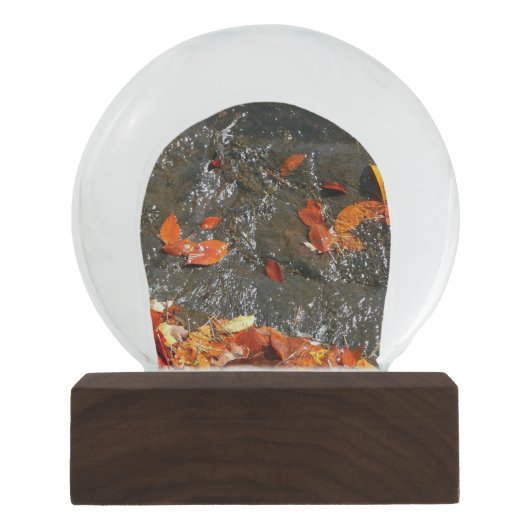 Boule À Neige Feuilles d'automne dans la cascade I Photographie  (Devant)