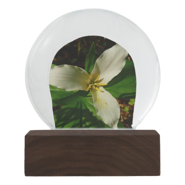 Boule À Neige Fleur Trillium Blanc (Devant)