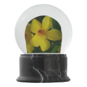 Boule À Neige Fleurs de trompette d'or II Tropical (Devant)