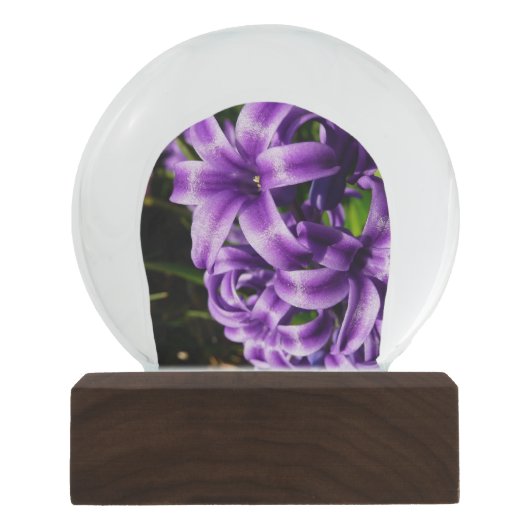 Boule À Neige Flore de printemps Blue Hyacinth II (Devant)