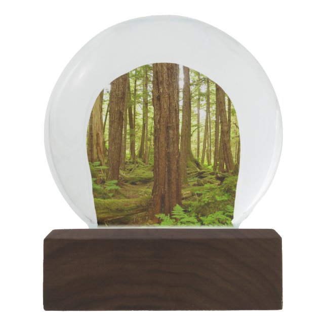 Boule À Neige Forêt pluviale tempérée d'Alaska (Devant)