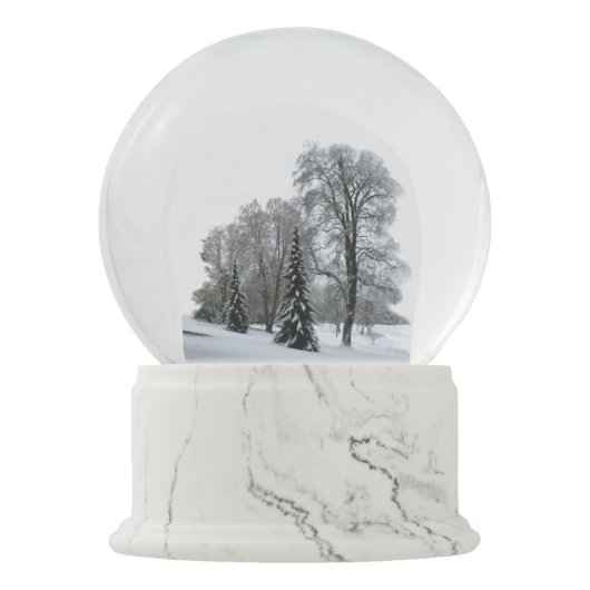 Boule À Neige Forêt Snowglobe de neige de globe de neige du pays (Devant)