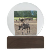 Boule À Neige Globe de neige de l'Alaska (Dos)