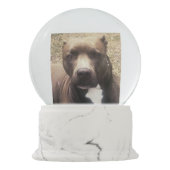 Boule À Neige Globe fait sur commande de neige de photo d'animal (Dos)