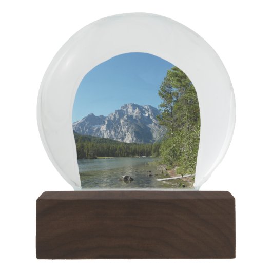 Boule À Neige Leigh Lake, parc national de Grand Teton (Devant)