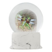 BOULE À NEIGE LIBELLULE (Dos)