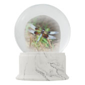 BOULE À NEIGE LIBELLULE (Devant)