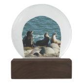 Boule À Neige Lions de la mer de San Diego (Dos)