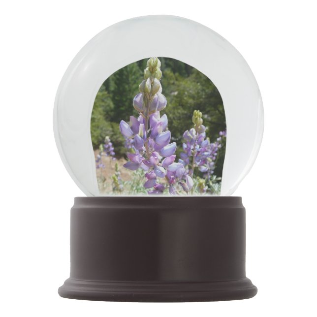 Boule À Neige Mont Lupins (Devant)
