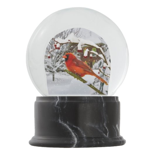 Boule À Neige Noël, oiseau cardinal rouge et neige (Devant)