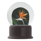 Boule À Neige Oiseau du Paradis Orange Fleur tropicale (Devant)
