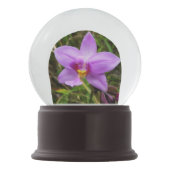 Boule À Neige Orchidée sauvage violette Fleur tropicale (Dos)