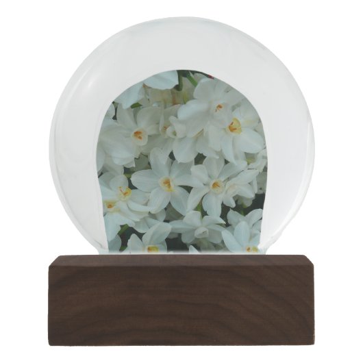 Boule À Neige Paperwhite Narcissus Fleurs blanches délicates (Devant)