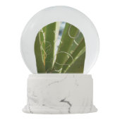 Boule À Neige Photographie de la nature verte Feuille du Yucca (Dos)