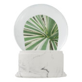 Boule À Neige Plante Agave Vert et blanc rayé (Dos)