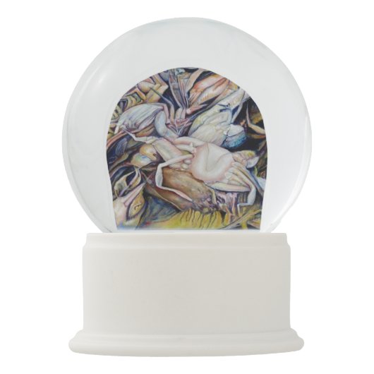 Boule À Neige Réfléchir hors de la boîte (Dos)