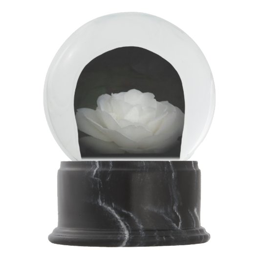 Boule À Neige rose blanche sur noir (Devant)