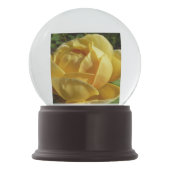 Boule À Neige Rose d'Angleterre (Devant)