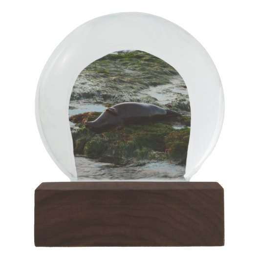 Boule À Neige Sceau du port de Sunset Lit II à San Diego (Devant)