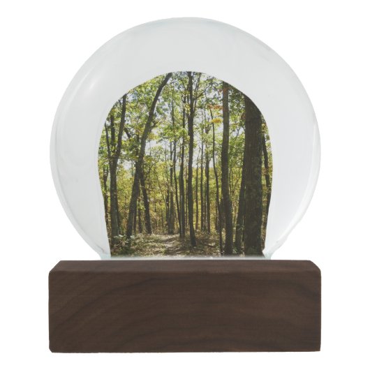 Boule À Neige Sentier des Appalaches en octobre à Shenandoah (Dos)