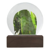 Boule À Neige Spiderweb dans Tropical Leaves Nature (Dos)