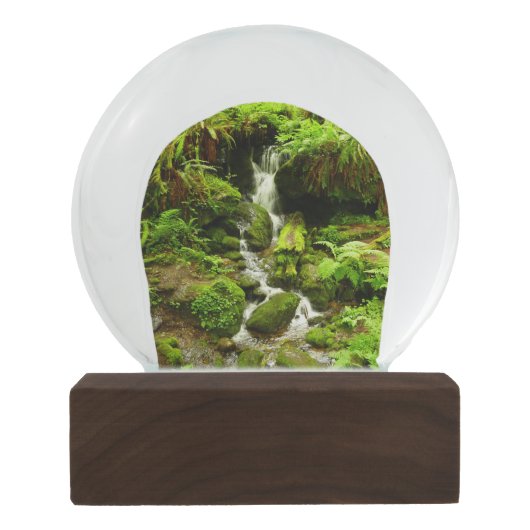 Boule À Neige Trillium Falls (Dos)