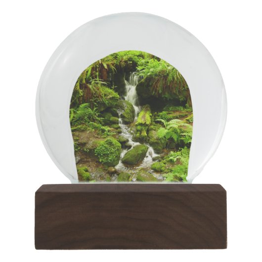 Boule À Neige Trillium Falls (Devant)