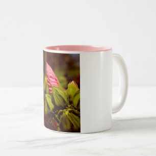 Boule de fleurs roses Photo Mug