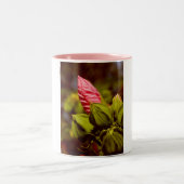 Boule de fleurs roses Photo Mug (Centre)