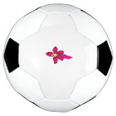 Boule de football (Tourné)