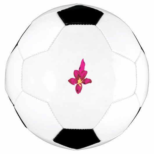 Boule de football (Devant)