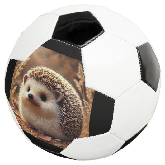 Boule de football (3/4)