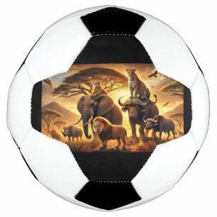 Boule de football