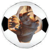 Boule de football (Tourné)