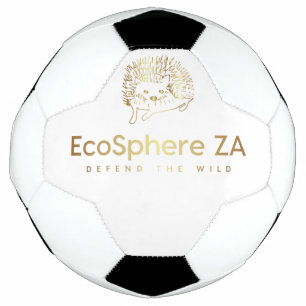 Boule de football
