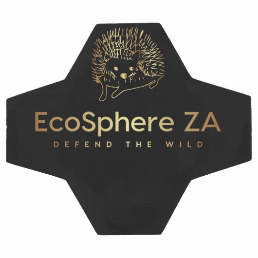 Boule de football (Plat)