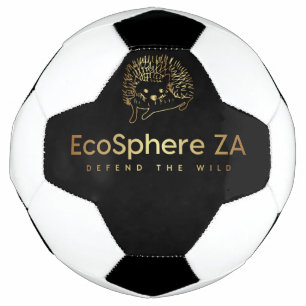 Boule de football