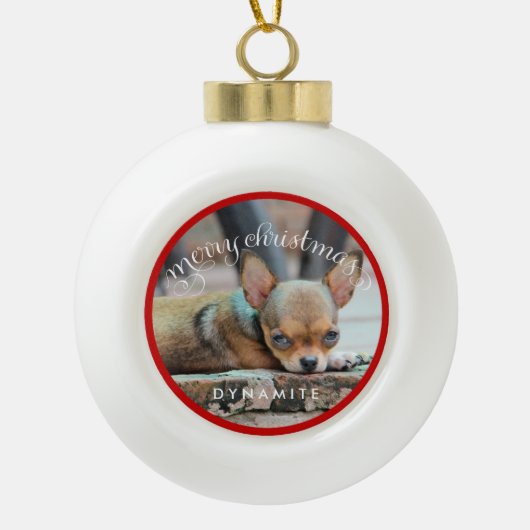 Boule de Noël de chien personnalisé Ornements de N (Devant)