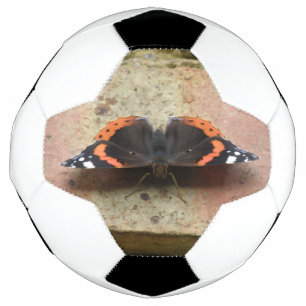 Boule de soccer de l'amiral rouge