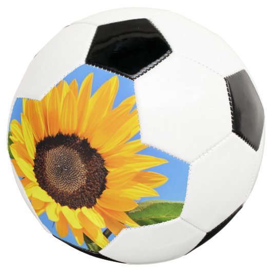 Boule de soccer tournesol (3/4)