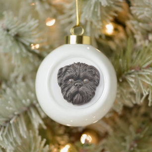 Boule En Céramique Affenpinscher Inspiré 3D